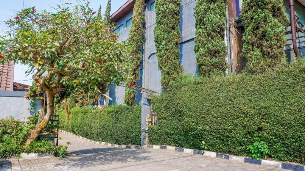 Oyo 1488 Hotel Cemara Asri Lembang Buitenkant foto